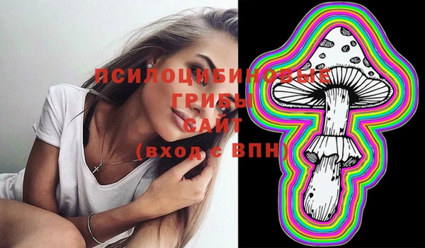 спайс Абинск