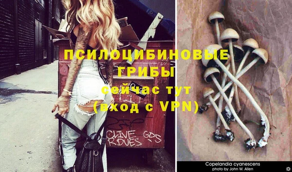 спайс Абинск